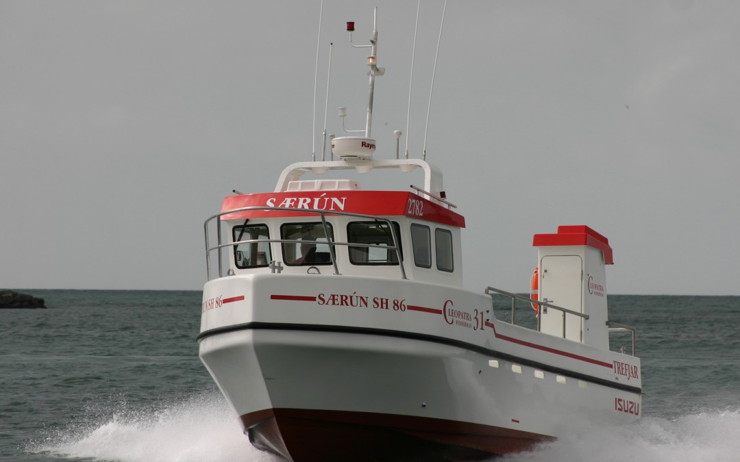 Ný Cleopatra 31 á Rif